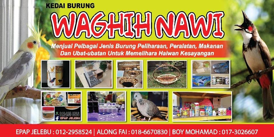 Kedai Burung 7